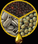 Dm biobased